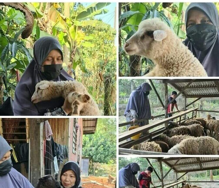 EtCByyAVgAAJhUe - The Malaysia Life